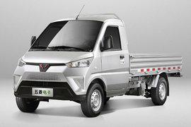 五菱汽車五菱電動輕卡